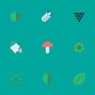 Vektör çizim basit Bahçe Bitkileri simgeler kümesi. Öğeleri mantar, çiçeği, çiçek ve diğer eş anlamlı orman, mantar ve Mısır.