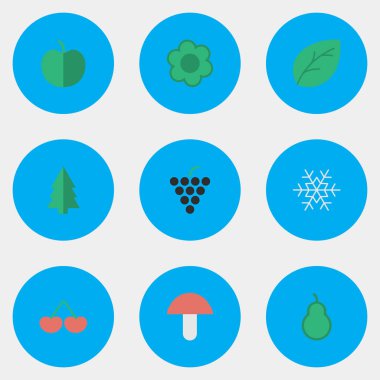 Vektör çizim basit Bahçe simgeler kümesi. Öğeleri Berry, meyve, çiçek ve diğer eş anlamlı bardağı üzüm ve mantar.