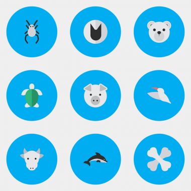 Vektör çizim basit Fauna simgeler kümesi. Öğeleri Tomcat, kaplumbağa, iskelet ve diğer eş anlamlı Bones, hayvan ve dul.