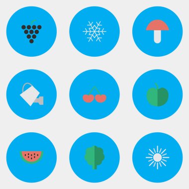 Vektör çizim basit Bahçe Bitkileri simgeler kümesi. Öğeleri Berry, mantar, odun ve diğer eş anlamlı kavun, şarap ve meyve.