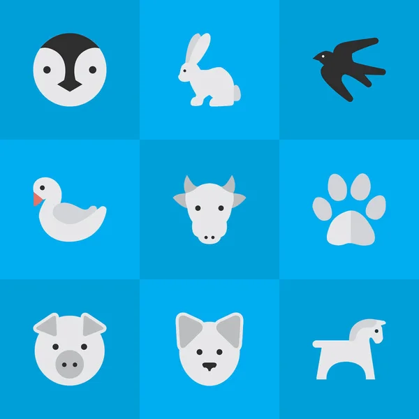 Wektor ilustracja zestaw ikon proste zwierzęta. Elementy stóp, Kine, wilk i inne synonimy Bunny, świnia i Piggy. — Wektor stockowy