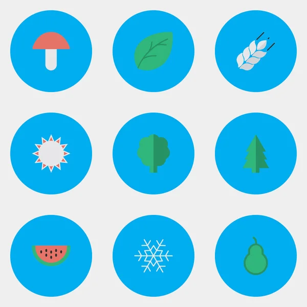 Vector Illustration Set Of Simple Garden Icons. Elements Flake Of Snow, Fungus, Corn And Other Synonyms Pear, Sheet And Sunny. — Stock Vector