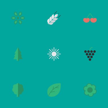 Vektör çizim basit Bahçe Bitkileri simgeler kümesi. Öğeleri Mısır, çiçeği, levha ve diğer eş anlamlı ahşap Pot ve ekmek.