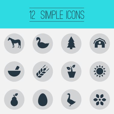 Vektör çizim basit doğa simgeler kümesi. Öğeleri yeşilbaş, Ladin, Zebra ve diğer eş anlamlı tavuk, yumurta ve güneş.