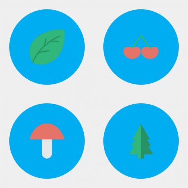 Vektör çizim basit Bahçe Bitkileri simgeler kümesi. Öğeleri ağaç, Berry, mantar ve diğer eş anlamlı mantar, broşür ve ahşap.