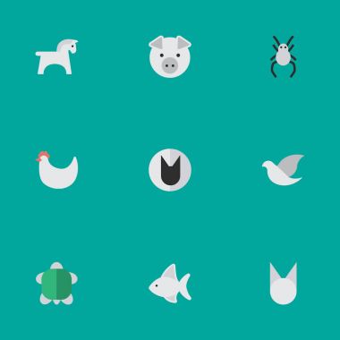 Vektör çizim basit Fauna simgeler kümesi. Öğeleri balık, Tomcat, kaplumbağa ve diğer eş anlamlı güvercin tavuk ve deniz ürünleri.