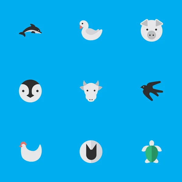 Vektor Illustration uppsättning enkla djur ikoner. Element sköldpadda, Flightless Bird, kuk och andra synonymer söt, mjölk och sköldpaddan. — Stock vektor