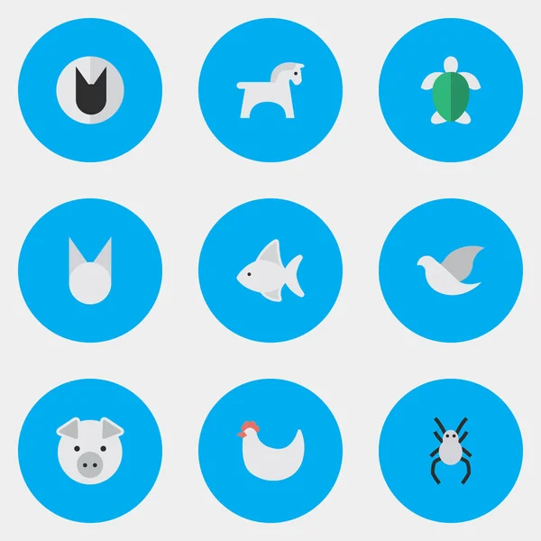 Vektor Illustration uppsättning enkel Wild-ikoner. Element Piggy, kuk, Tarantula och andra synonymer gris, sköldpaddan och hoven. — Stock vektor