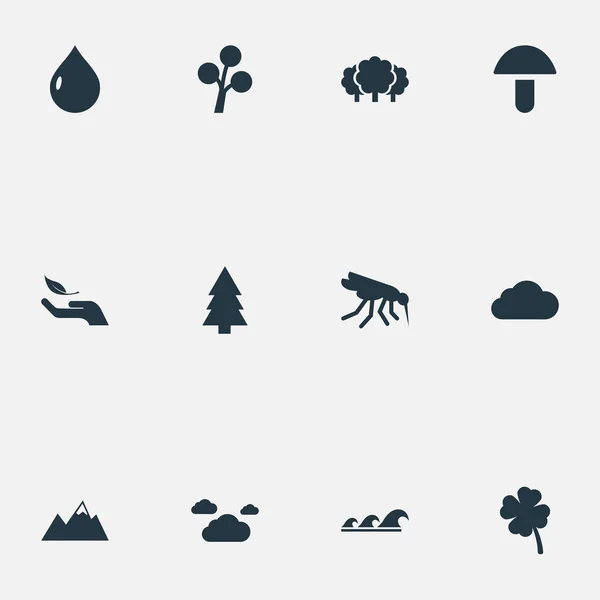 Vector Illustration Set of Simple Geo Icons. Elementos Protección de la Naturaleza, Pináculo, Mar y Otros Sinónimos Meteorología, Planta y Gourmet . — Vector de stock