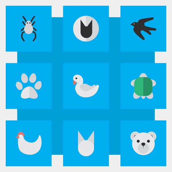 Vektor Illustration uppsättning enkel Zoo ikoner. Element Sparrow, Swan, Tomcat och andra synonymer Tomcat, Söt och sköldpadda. — Stock vektor
