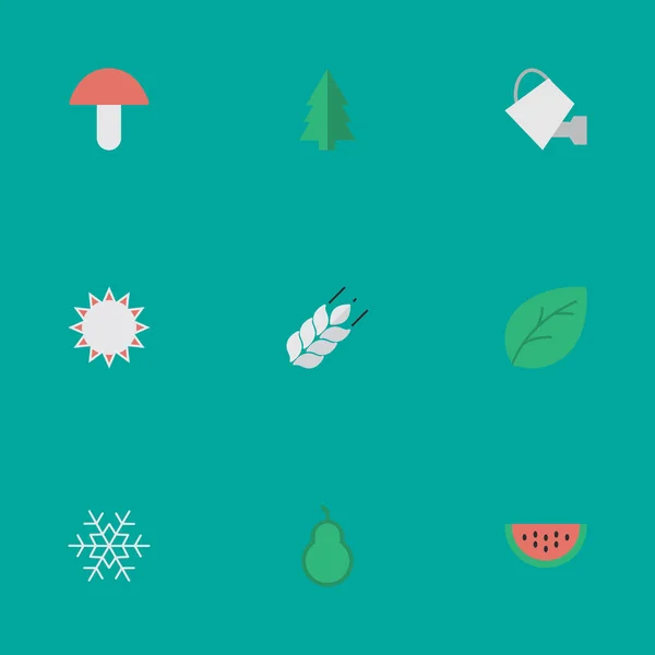 Vektor Illustration Set von einfachen Gartenbau-Symbolen. Elemente Melone, Pilz, Bailer und andere Synonyme Flocken, Schnee und Wassermelone. — Stockvektor