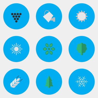 Vektör çizim basit Bahçe simgeler kümesi. Öğeleri Mısır, çiçeği, Bauer ve diğer eş sıcak, çiçek ve bardağı.