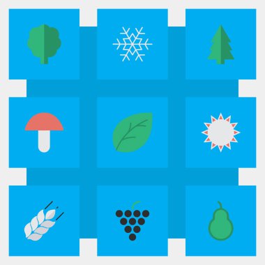 Vektör çizim basit Bahçe simgeler kümesi. Çanta Delme elemanları, güneşli, Mısır ve diğer eş şarap, ağaç ve pul.