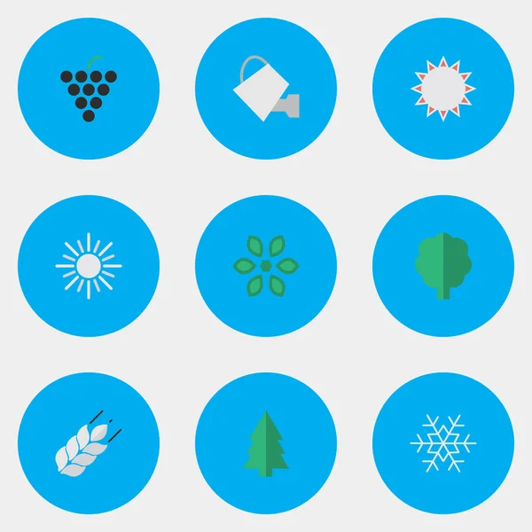 Vektor Illustration uppsättning enkel trädgård ikoner. Element majs, Blossom, öskar och andra synonymer Hot, blomma och vinglas. — Stock vektor
