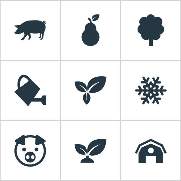 Vector Illustration Set Of Simple Ecology Icons. Elements Soil, Duchess, Swine And Other Synonyms Duchess, Winter And Life. — Stock Vector