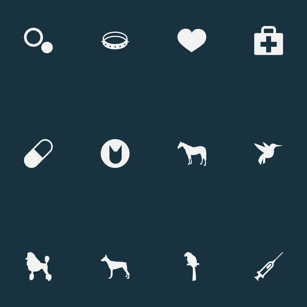 Vektor Illustration Set von einfachen Zoo-Symbolen. Elemente Medizin, Kätzchen, Hengst und andere Synonyme Haustier, Ara und Kit. — Stockvektor
