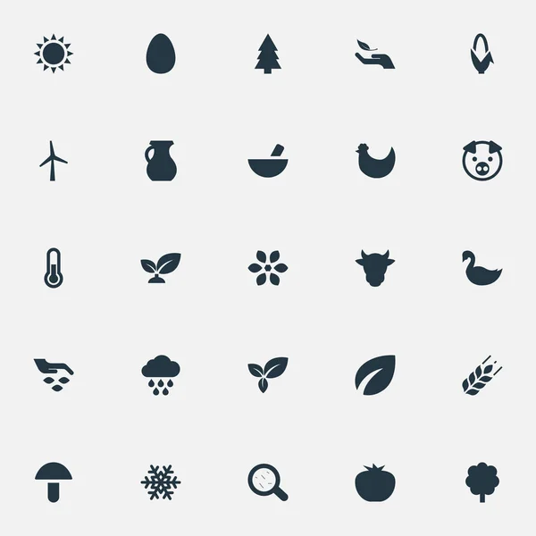 Vektorové ilustrace sada jednoduchých ikon. Prvky bakterie, listy, džbán a další synonyma teploměr, ochranu a bakterie. — Stockový vektor