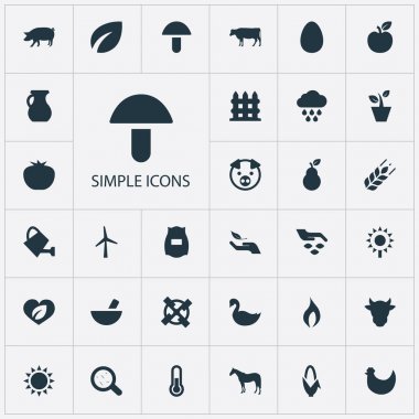 Vector Illustration Set Of Simple Nature Icons. Elements Fruit, Swine, Pitcher And Other Synonyms Rain, Bailer And Leaf. clipart