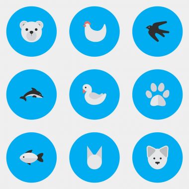 Vektör çizim basit vahşi simgeler kümesi. Öğeleri Panda, kedi, Balık eş anlamlı ayak, horoz ve levrek.