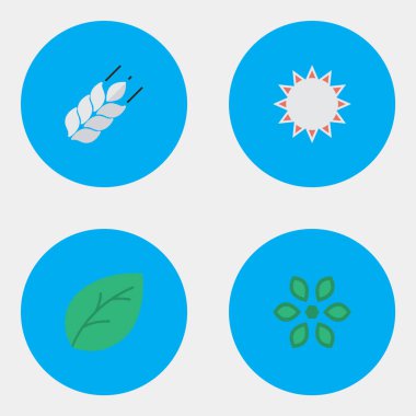 Vektör çizim basit Bahçe Bitkileri simgeler kümesi. Öğeleri Mısır, çiçeği, güneşli ve diğer eş anlamlı güneşli, ot ve yaprak.