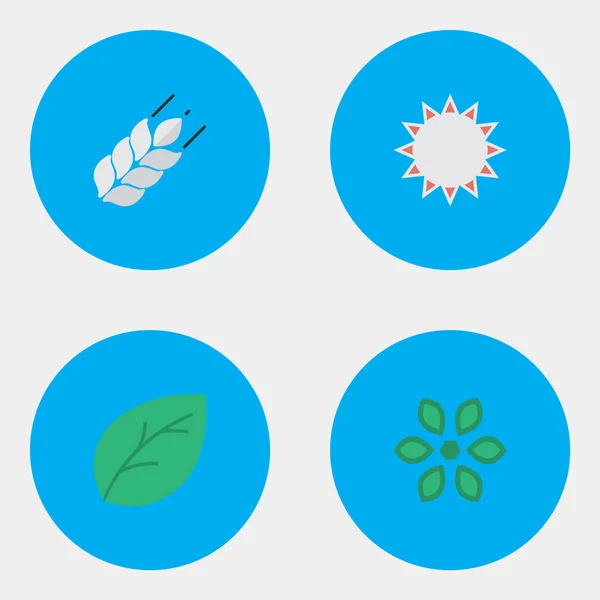 矢量图组的简单园艺图标。元素玉米、 开花、 阳光明媚的阳光和其他同义词、 锅、 表. — 图库矢量图片