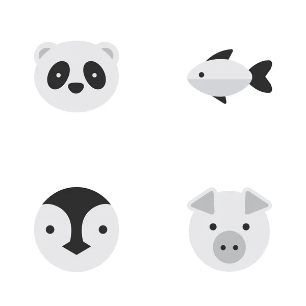Vector Illustration Set Of Simple Fauna Icons. Elements Bear, Piggy, Flightless Bird And Other Synonyms Fish, Flightless And Pig. Vector Graphics