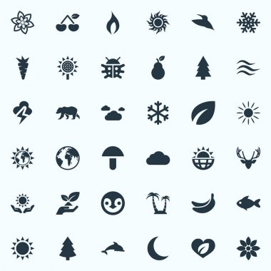Vektör çizim basit doğa simgeler kümesi. Öğeleri Champignon, Grampus, bulutlar ve diğer eşanlamlı organik, kar tanesi ve dünya.