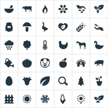 Vektör çizim basit doğa simgeler kümesi. Öğeleri tahıl, bahçecilik, Zebra ve diğer eş anlamlı vejetaryen yaban ördeği ve sebze.