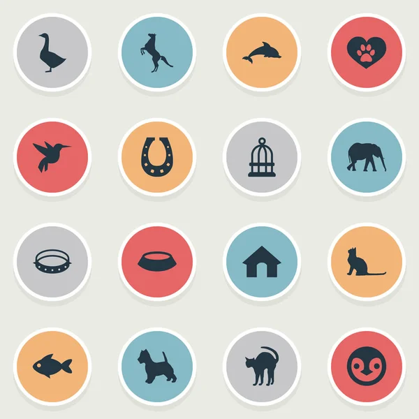 Vector Illustration Set of Simple Animals Icons. Elementos Cinturón, Pescado, Tomcat y otros sinónimos Colibrí, Tomcat y Pez . — Vector de stock