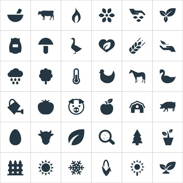 Vector Illustration Set of Simple Nature Icons (en inglés). Elementos Granos, Jardinería, Cebra y Otros Sinónimos Vegetariano, Mallard y Verduras . — Vector de stock