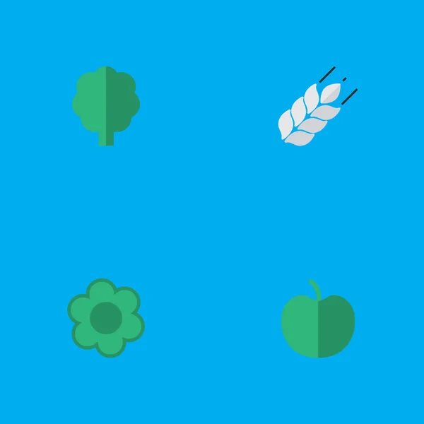 簡単な園芸アイコンのベクター イラスト セット。要素トウモロコシ、フルーツ、木、他の同義語の木の森し、花. — ストックベクタ