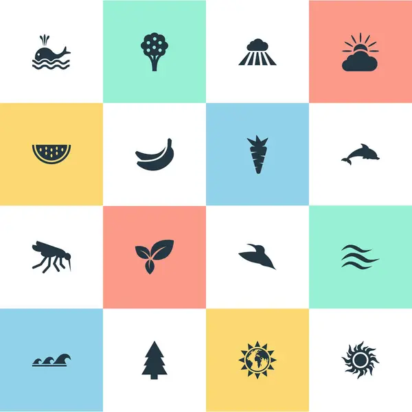 Vektorillustrationen mit einfachen Biosymbolen. Elemente Orca, tropische Früchte, Meer und andere Synonyme Wassermelone, Fichte und Wolke. — Stockvektor