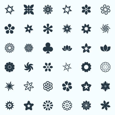 Vektör çizim basit çiçeği simgeler kümesi. Öğeleri Daisy, Dekorasyon, Delphinium ve diğer eş anlamlı yonca, zafer ve desen.