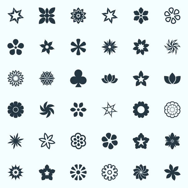 Vector Illustration Set of Simple Blossom Icons (en inglés). Elementos Margarita, Decoración, Delphinium y otros sinónimos Trébol, Gloria y Patrón . — Vector de stock