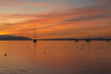 Günbatımında Constance Gölü manzarası, Allensbach, Almanya