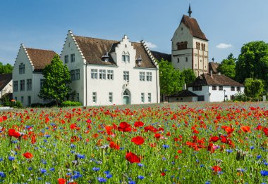 Reichenau Abbey, Reichenau Adası, Constance Gölü, Almanya 'nın önündeki gelincik tarlası