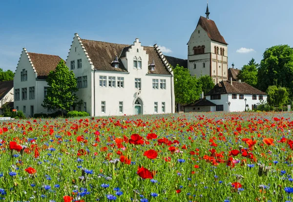 Kwitnące pole maku przed opactwem Reichenau, Wyspa Reichenau, Jezioro Bodeńskie, Niemcy — Zdjęcie stockowe