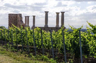 Villa Rustica Weilberg, Ancient Roman winery near Bad Duerkheim in Rhineland-Palatinate, Germany  clipart