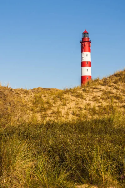 Amrum Fyr Dune Landskap Nordfrisiska Amrum Nordsjön Tyskland — Stockfoto