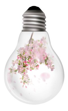 Pembe çiçeklerin yetiştiği ampul.