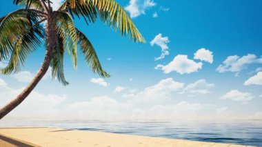 Colorful panoramic landscapeseaside wooden platform / deck table background.Beautiful tropical palm and ocean horizon. (4K UHD seamless looping, computer digitally generated animation.)