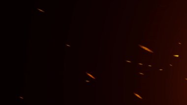 4k Uhd dikişsiz döngü, bilgisayar tarafından dijital olarak oluşturulan animasyon.)