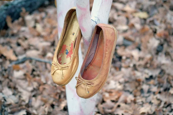 Old golden ballet shoes hang on a tree. In autumn park on a white trunk a pair of old shoes painted in gold.