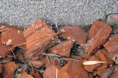 Gri arka planda, örümcek ağlarıyla kaplı kahverengi çatı kiremidi parçaları var. İnternetteki çiy tanesi. Avluda inşaat atığı.