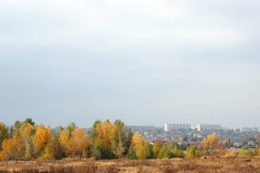 Sonbahar parkından şehrin panoraması. Şehir evlerinin arka planına karşı sarı yapraklı ağaçlar. Sonbaharda bulutlu bir gün.