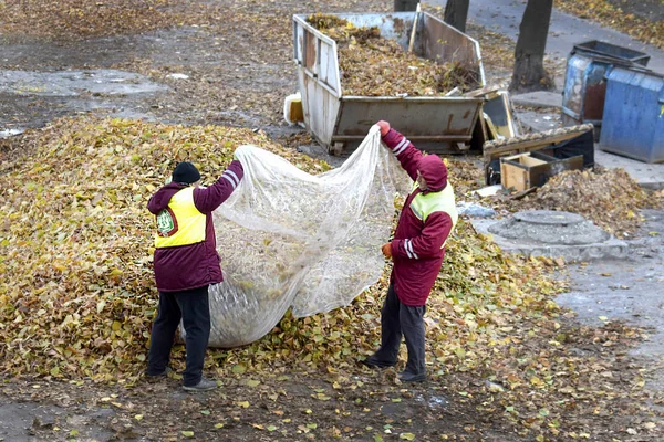 2018年11月14日 乌克兰哈尔科夫 两名身穿制服的男工正在清扫街上的树叶 城市服务中秋叶的清洁 — 图库照片