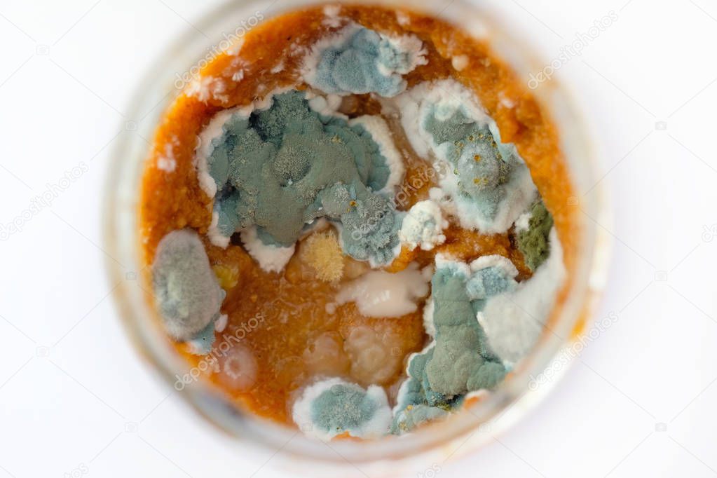 Mold in a jar with zucchini caviar top view. Mold on products. Microscopic mushrooms that live on foods
