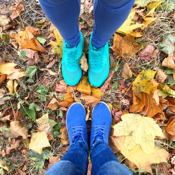 autumn leaves and legs of two girls, top view. Legs of girls in colored sneakers on a background of leaves