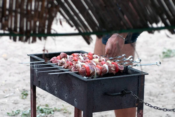 明るい夏の日にバーベキュー屋外 おいしいジューシーなマリネ肉 トマト 玉ねぎ ピーマン石炭火災で焙煎串焼き キャンプ おいしい食べ物 ガーデンパーティー — ストック写真