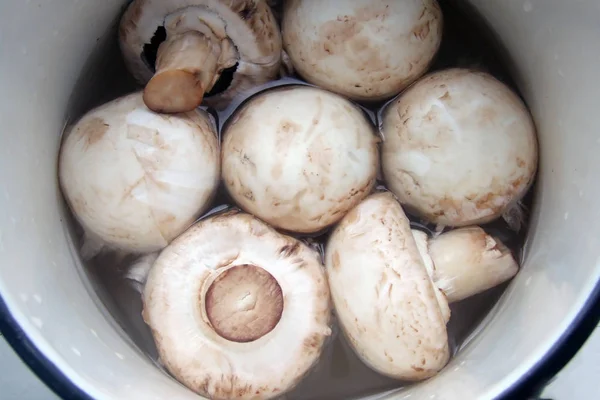 Grzyby Champignons Wodzie Obierane Białe Champignons Wodzie Rondlu — Zdjęcie stockowe